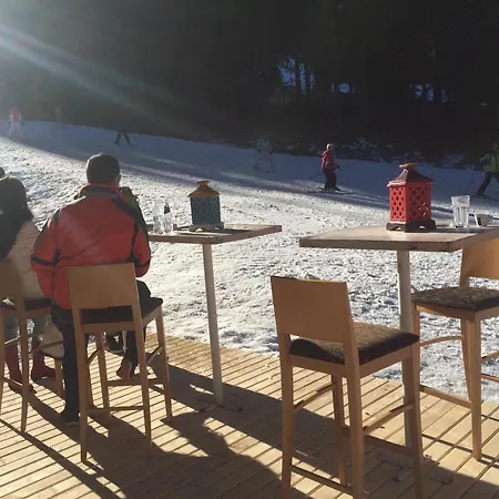 Stenata Huge To Door * Пампорово