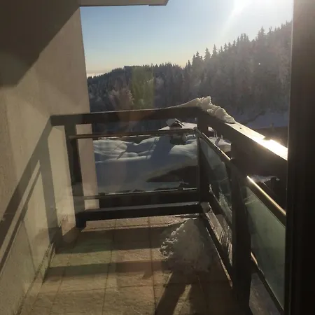 Stenata Huge To Door Пампорово