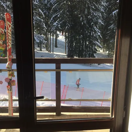 Stenata Huge To Door * Pamporovo